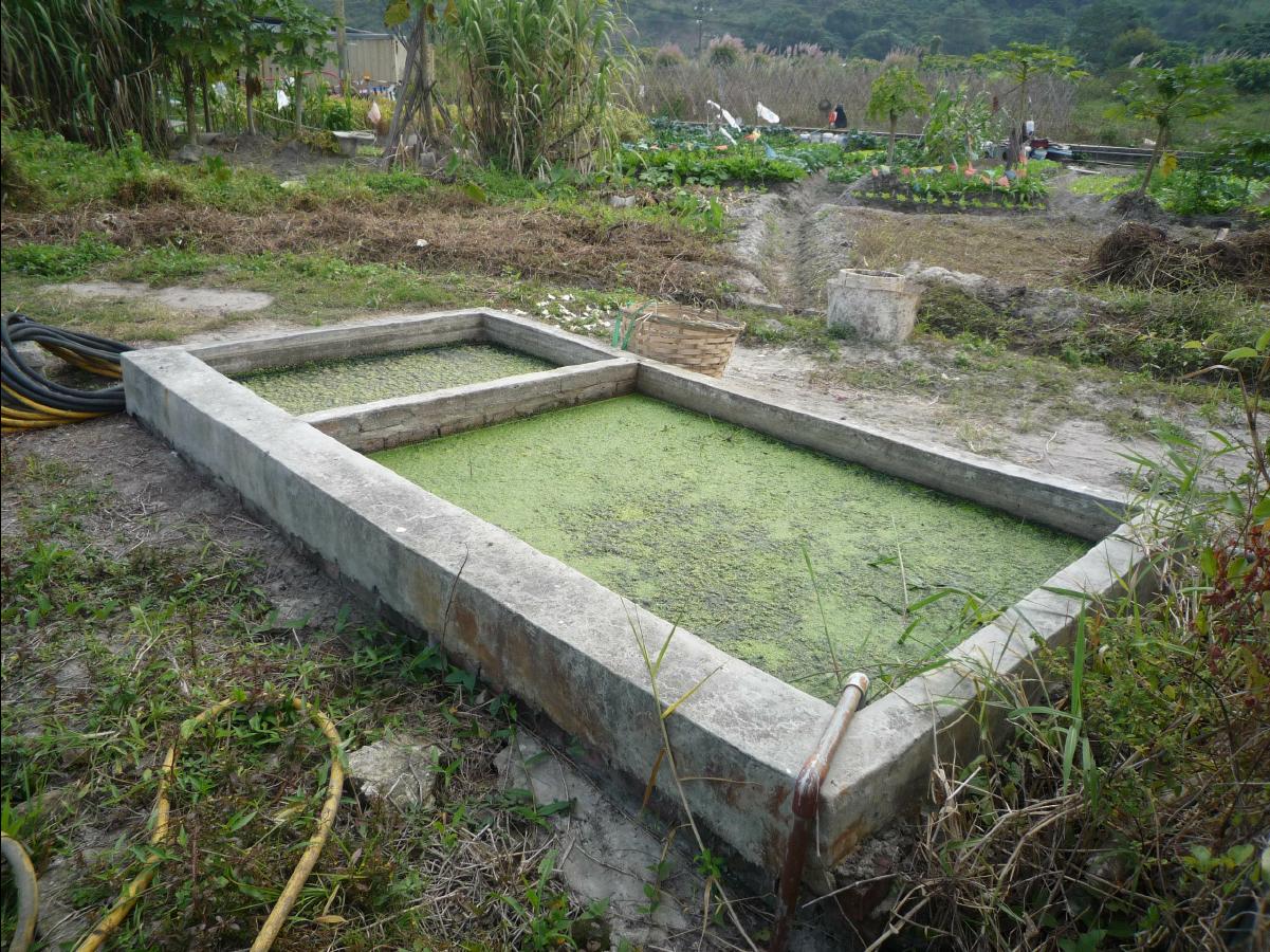 20101127 THE Organic Farm12